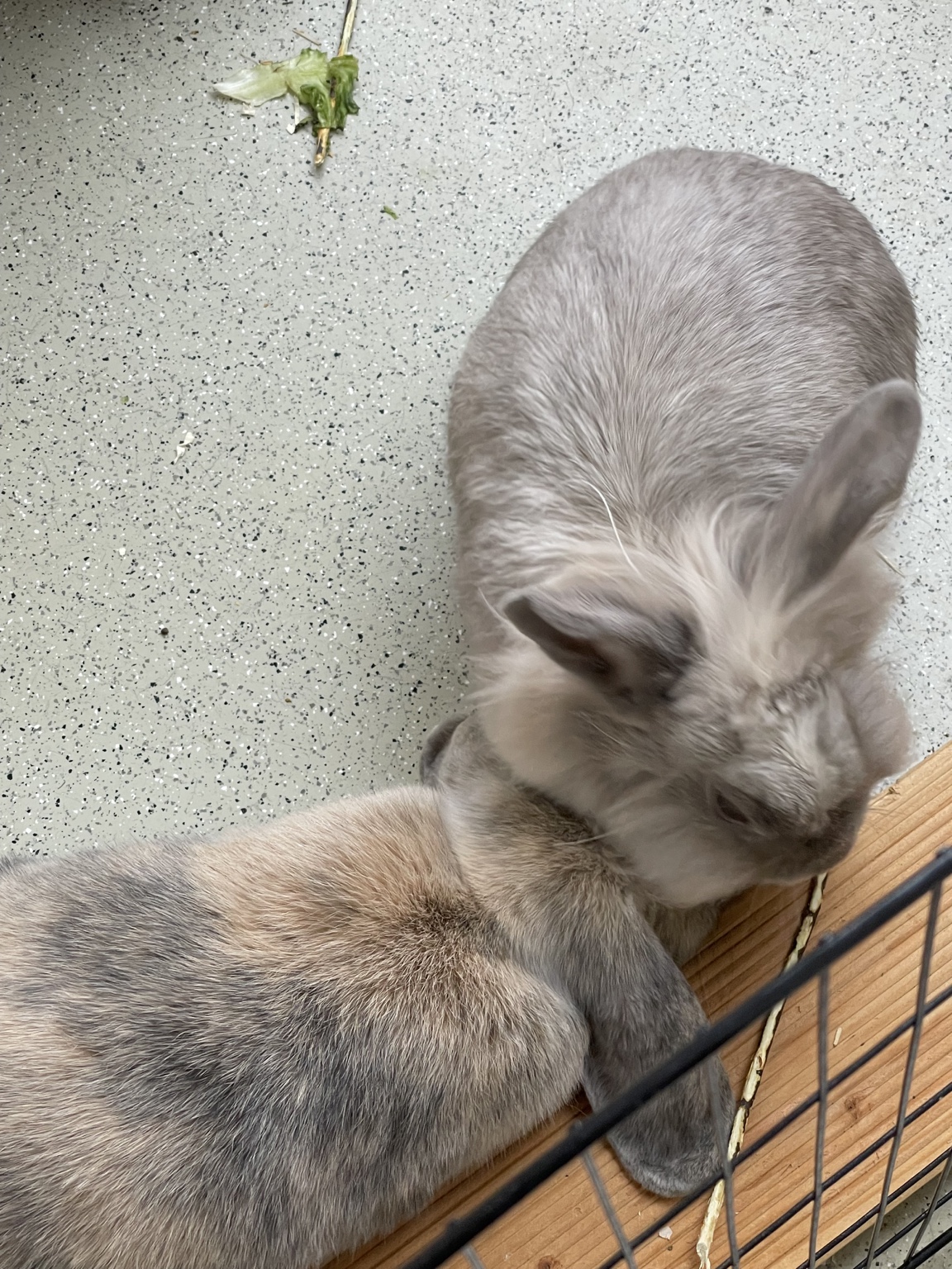 Olivia und Oskar
